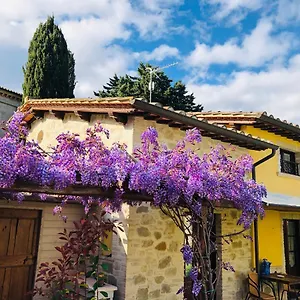 Il Cortile Delle Rose House Vakantiehuis Perugia